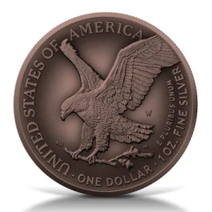 USA – 1 USD TYPE 2 Silver Eagle 2022 – 1 Oz Silber AntikFinish 7