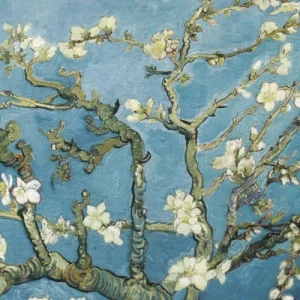 Tschad – 10000 Francs Vincent Van Gogh Almond Blossom – 2 Oz Silber 13