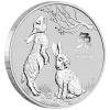 Australien – 0,5 AUD Lunar III Hase 2023 – 1/2 Oz Silber 13