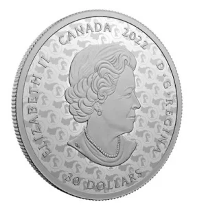 Kanada – 30 CAD Red Knight 2022 – 2 Oz Silber Color 7