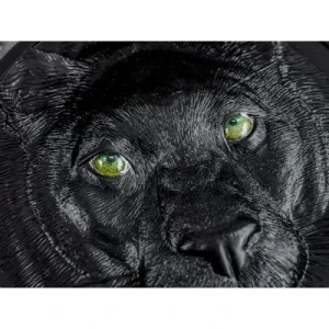 Palau – 10 USD Hunters By Night Black Panther 2020 – 2 Oz Silber 13
