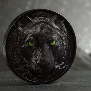 Palau – 10 USD Hunters By Night Black Panther 2020 – 2 Oz Silber 15